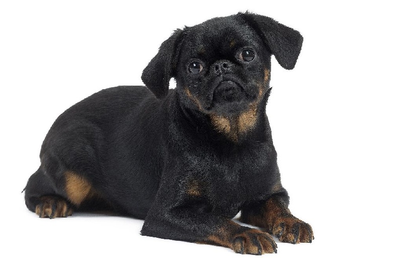 Publication : du Domaine des Cotieres 