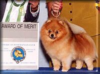 jan shars Dudly doright