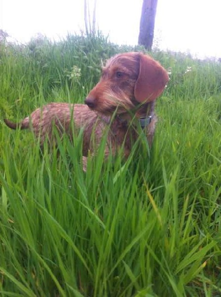 Publication : Du Domaine Brunemont 