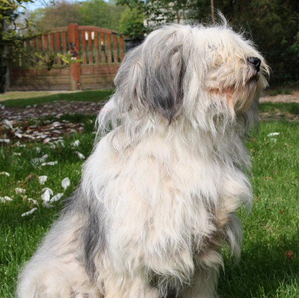 Publication : du Clos des Vignettes 