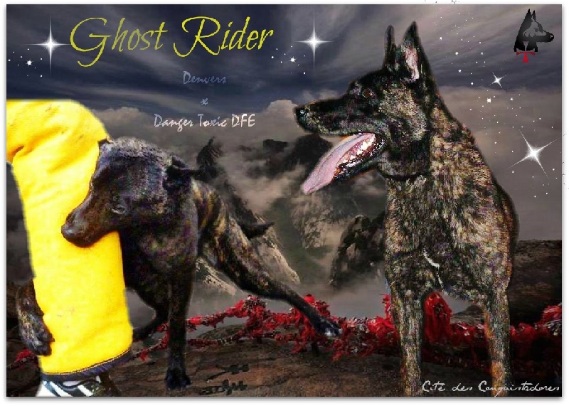 Ghost rider (Sans Affixe)