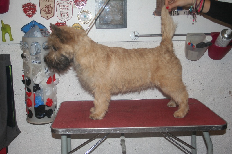 Publication : du domaine de kerallan Auteur : Pierrette Le Guyader