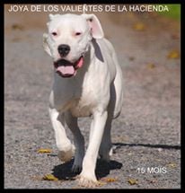 Publication : de los Valientes de la Hacienda