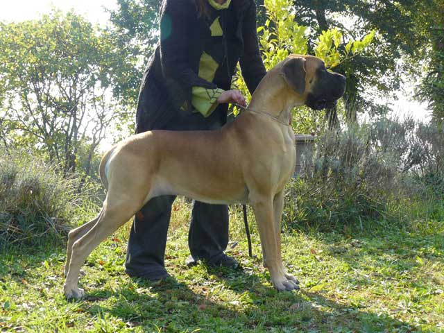 Publication : d'Héracléopolis 