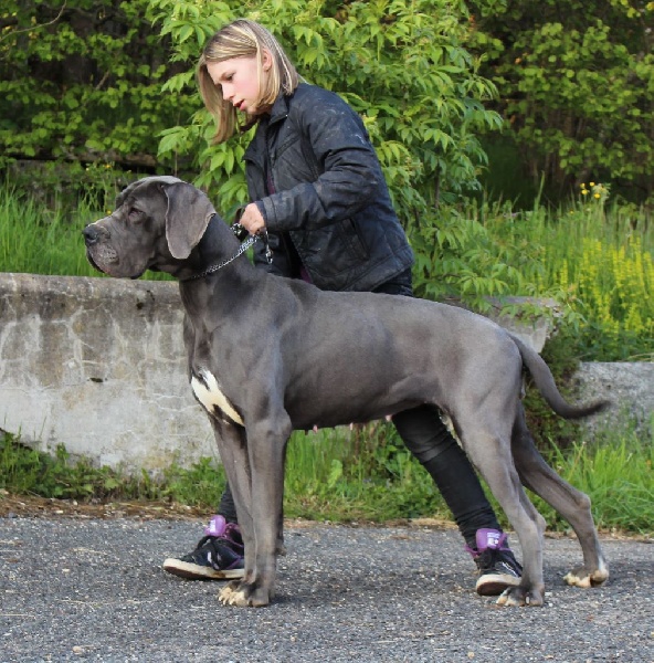 Publication : Des Mille Et Une Merveille Auteur : DES MILLE ET UNE MERVEILLES