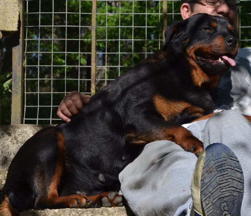 Publication : du domaine de Yunna Auteur : domainedeyunna