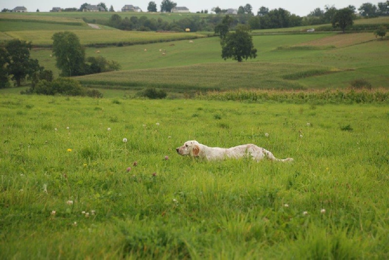 Julia du champ Bocquillon