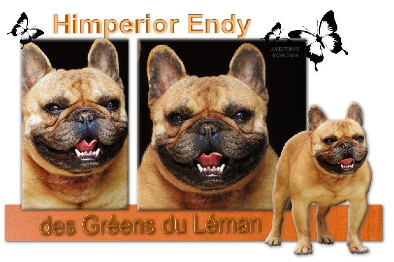 Himperior endy Des Greens Du Léman