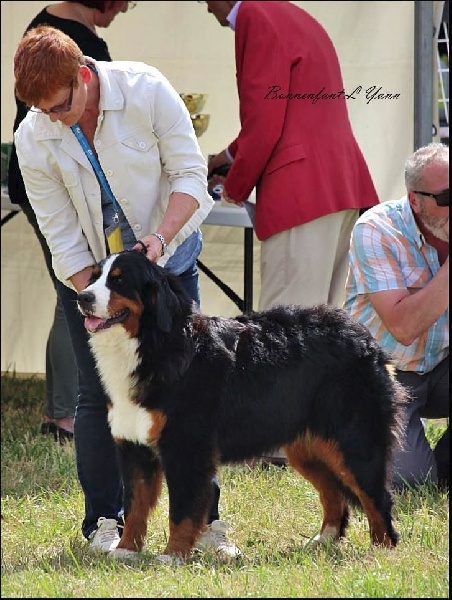 Publication : du Domaine de l'Arche du Gouttet Auteur : Y.B