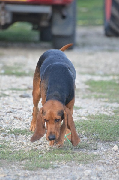 Publication : du col de la Duranne Auteur : julien ruis