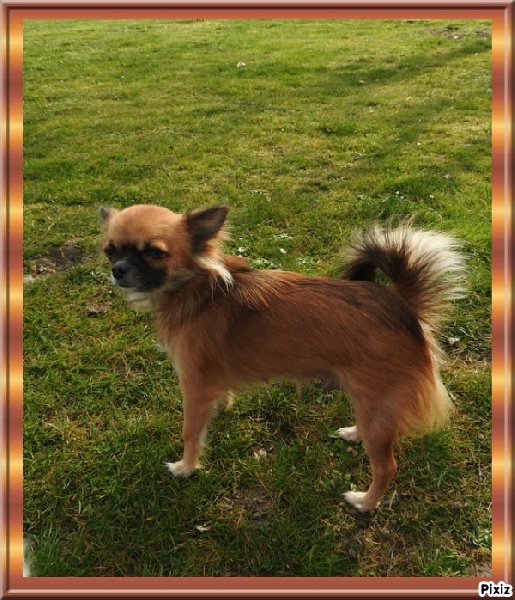 Lya De La Vallée Des Cèdres Bleus