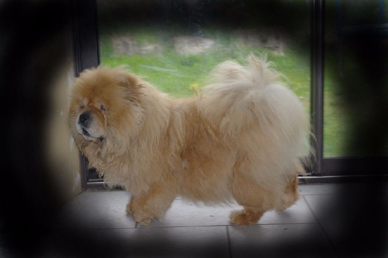 Publication : Caranusca Auteur : caranusca