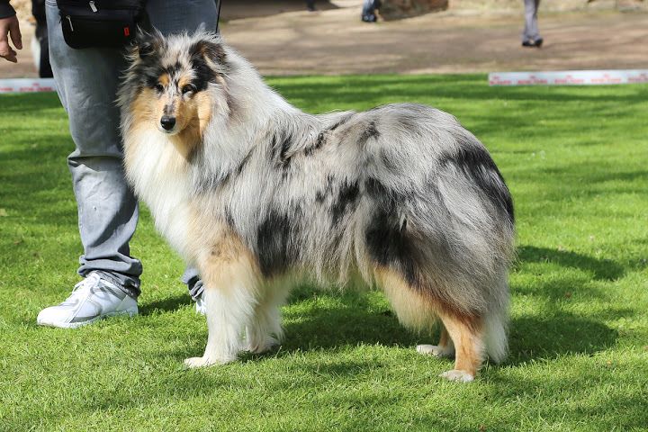 Publication : Du Chemin des Randonnées 