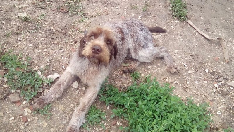 Publication : de l'Ô jadis Saint Philibert