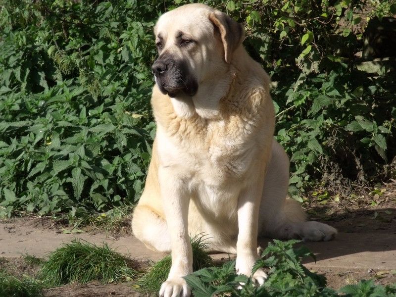 Publication : du Chemin Des Puits Tournants Auteur : duval corinne