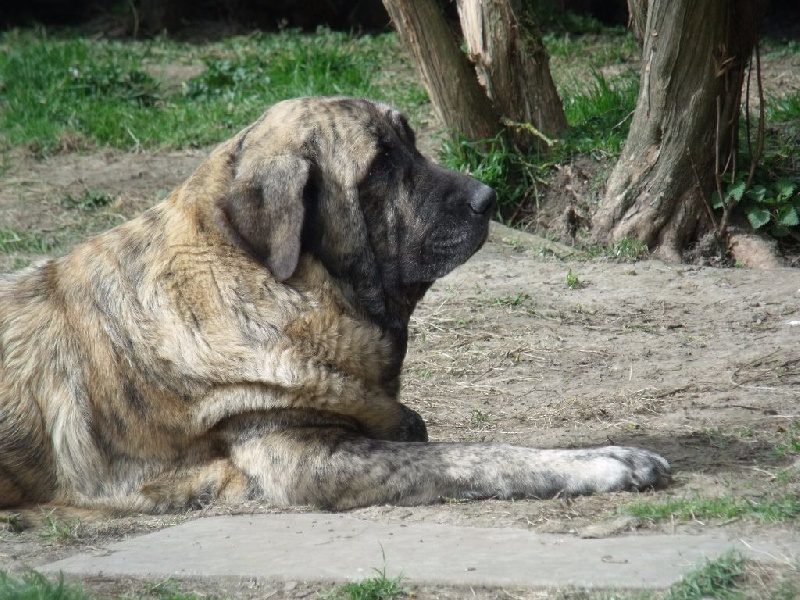 Flavie du Chemin Des Puits Tournants