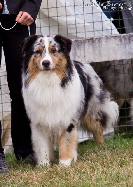 Isiwun God bless américa shawn