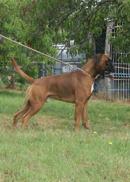 Publication : du mas du Perigord blanc Auteur : MPB