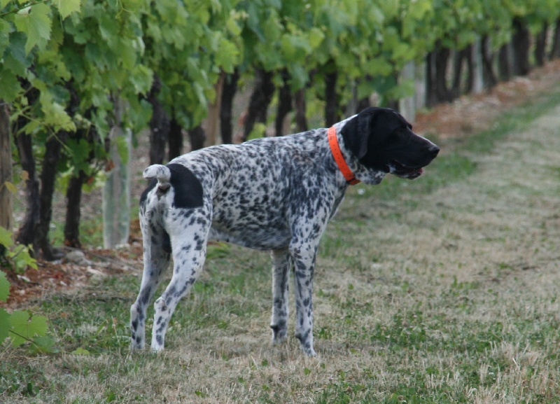 Frac des hauts de rouillac