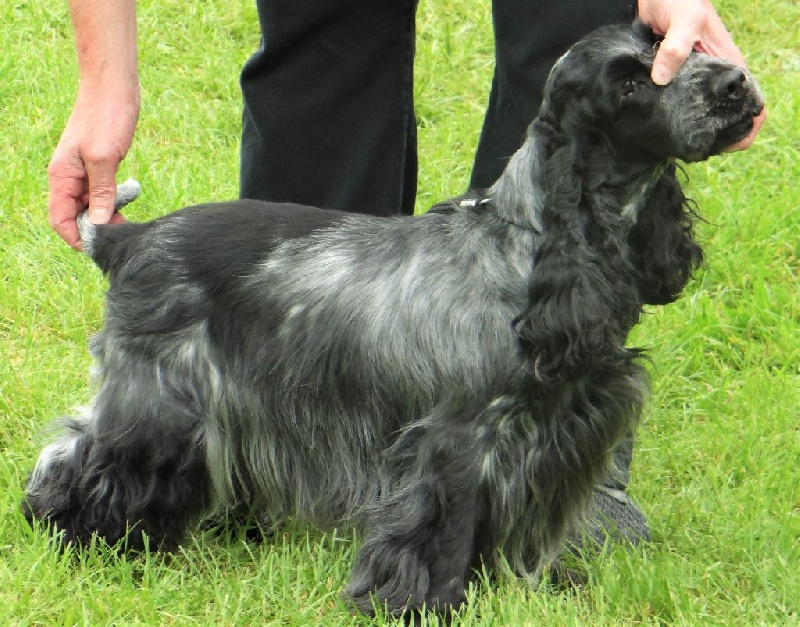 Hermione des années folles