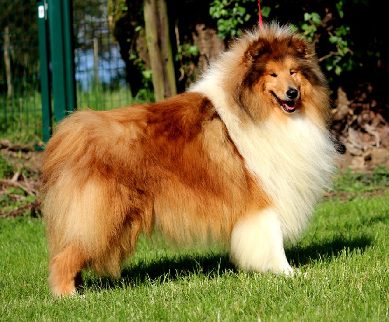 Publication : Du Clos De Seawind Auteur : Gilles MERVANT