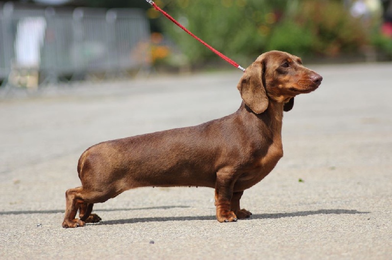 Publication : de ker ki douar 