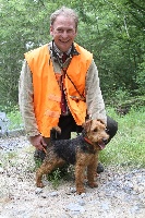 Étalon Welsh Terrier - CH. Jersey (Sans Affixe)
