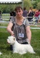 Étalon West Highland White Terrier - CH. Diva's eyes de Willycott