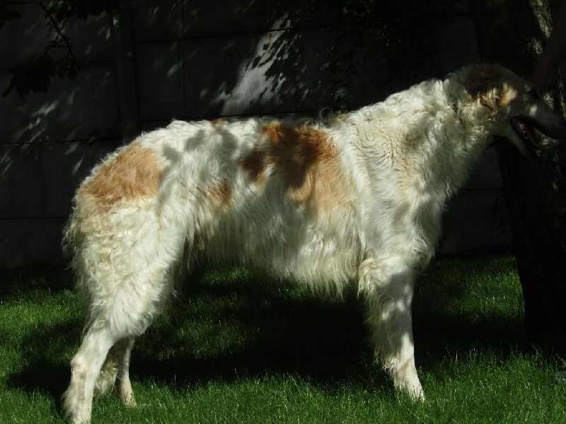 Jiky-de-guerlain Du grand fresnoy