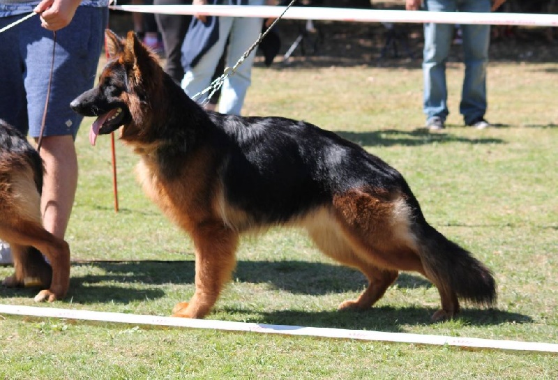 Publication : de la Roche Clotilde Auteur : MF