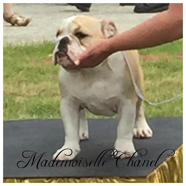 Publication : Des Loups Du Roumois 