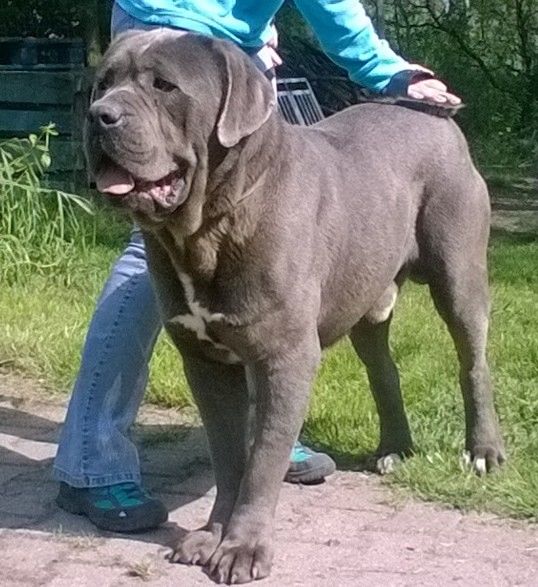 Publication : Des Couleurs Maloya Auteur : Couleurs Maloya