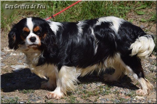 Iloa du Moulin de la Terrasse