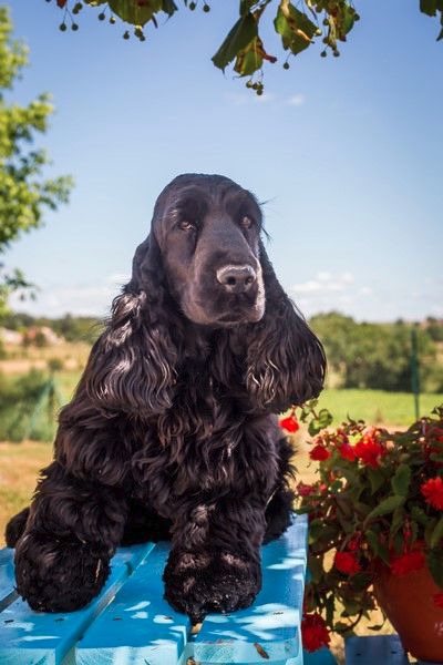 Publication : De L'étang Au Miroir 