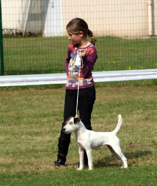 Publication : d'Ar Dervenn 