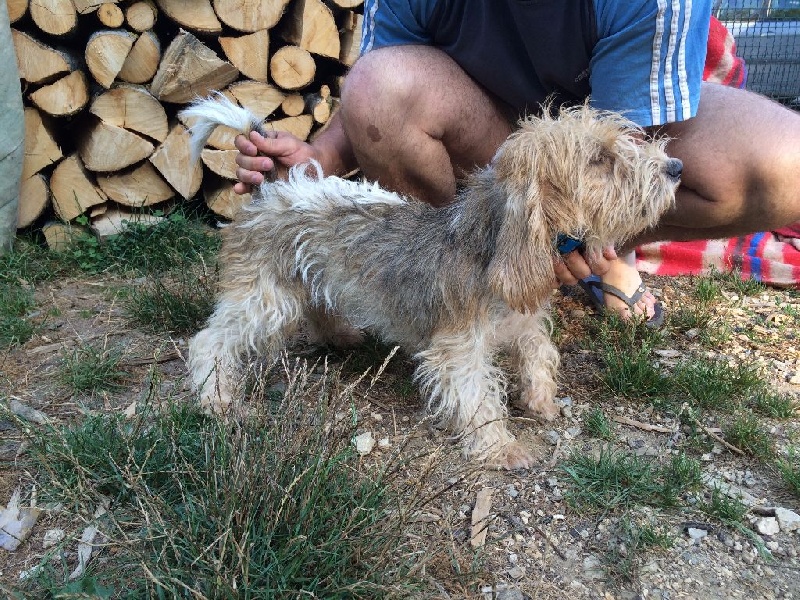 Publication : De La Terrible Menée 