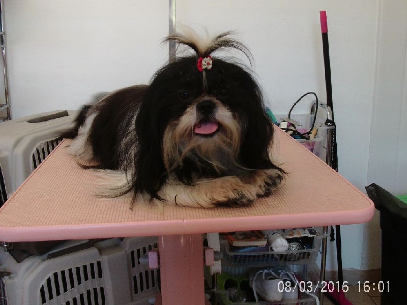  Auteur : Myriam ARTAUT-GARCIA