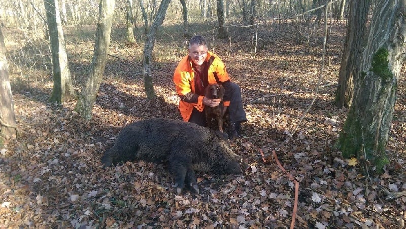 Publication : Du Vieux Rhin 