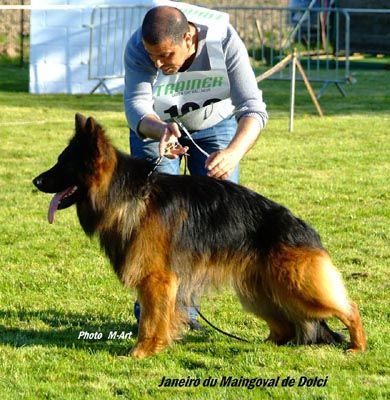 Janeiro du maingoval de dolci