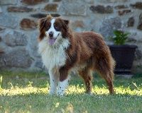 Grennwich Du rivage des mille etangs