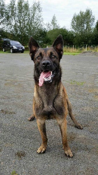 Iron de la cuadrilla