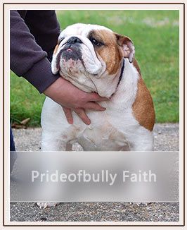 prideofbully Faith