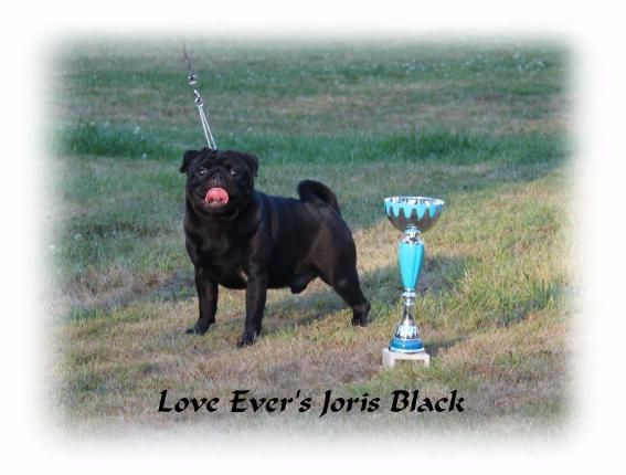 Love Ever's Joris-black