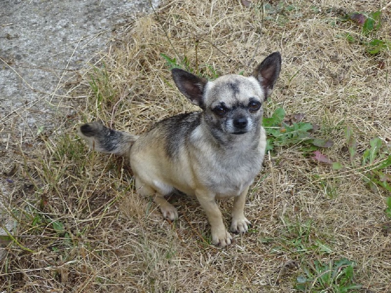 Italie du Cèdre Enchanté
