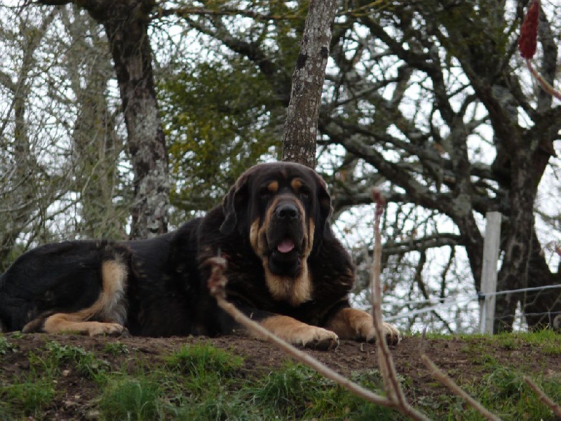 Publication : des terres de Glen-More Auteur : MC Dumas Delage