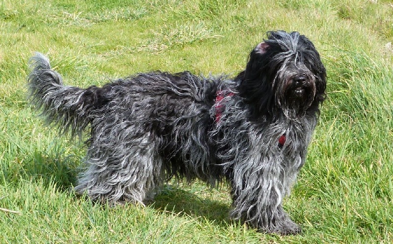 Publication : Du Moulin De Kerbeoc'h 