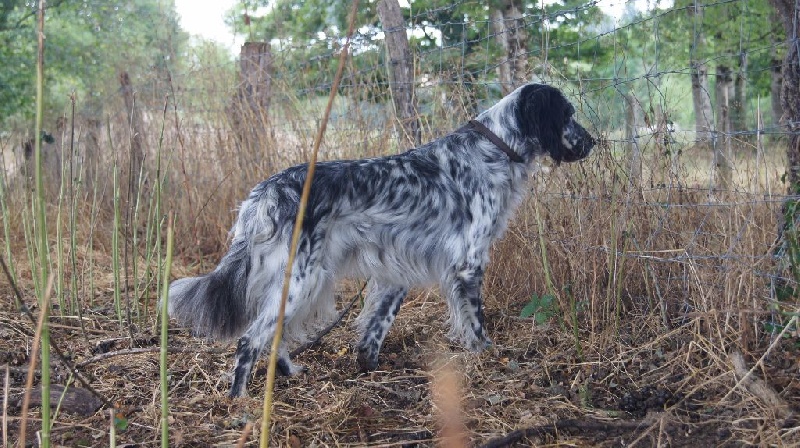 Publication : du Mas d'Eyraud Auteur : SARL le mas d'eyraud