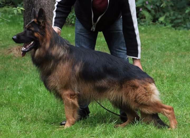 Publication : du lunoxa