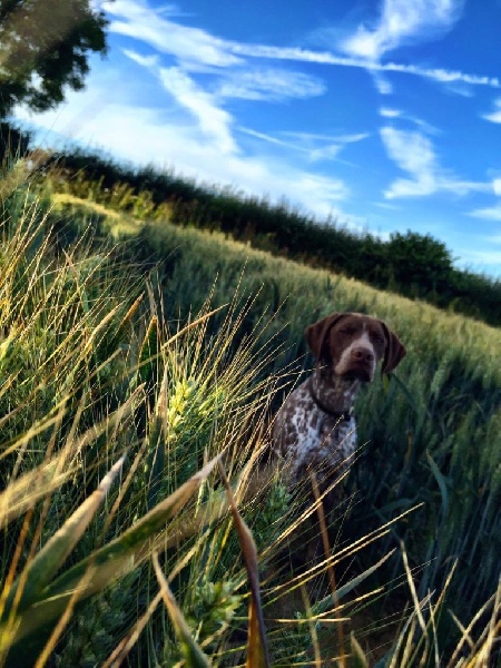 Publication : Santorin Auteur : RB