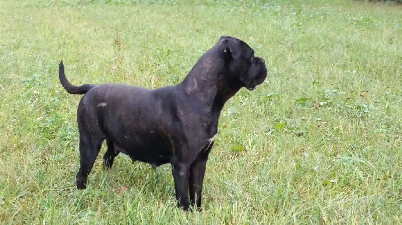 Publication : des Reflets de la Calabre Auteur : PEU Marielle et Jean-Michel